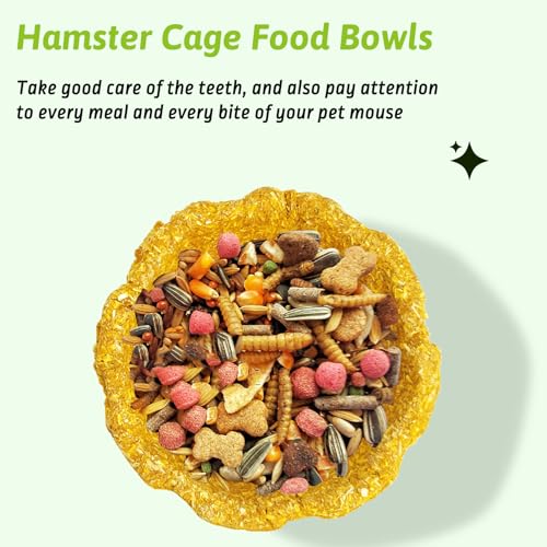 BNOSDM 6 Pcs Hamster Edible Premium Timothy Hay Chew Bowl Pumpkin Blend Rabbit Treats for Teeth Chewing Chinchilla Chew & Decor Toys for Syrian Dwarf Hamsters Gerbils Mice - color: 6PCS-Timothy & Pumpkin