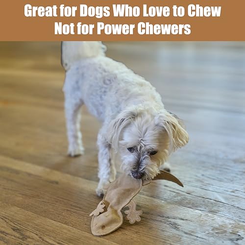 SPOT Skinneeez Leather Lizard – 15" Stuffing-Free Dog Toy with Real Leather & 2 Squeakers, Chew & Toss Toy for Small & Medium Dogs, Best for Light to Moderate Chewers - size: 15 Inch