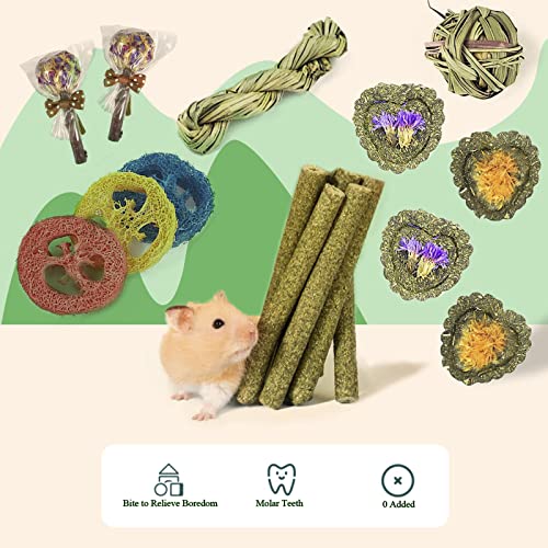 Rabbit Chew Toys for Teeth, 16PCS Natural Timothy Hay Chew Toy, Improve Dental Health for Bunny/Chinchilla/Guinea Pig/Hamsters/Holland Lop, Small Rodent Pet Molar Teeth Treats Toys - size: 16 PCS
