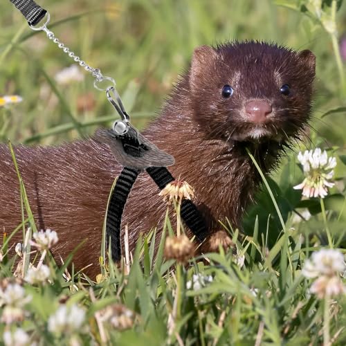 2 Pack Adjustable Hamster Leash Harness for Harness for Ferret Baby Rabbit Hamster Rat Mouse Leash Lead with Bell (Black) - color: black