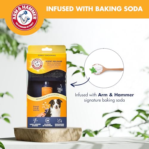 Arm & Hammer Deodorizing Slicker Dog Brush, Sweet Lily & Vanilla Scent | Fragrance transfer technology, baking soda infused, self-cleaning button, removes loose fur and tangles - size: 1-Pack, style: Slicker Brush - Sweet Lily & Vanilla