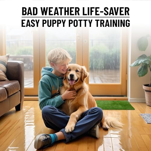 Ottomanson Artificial Grass Puppy Potty Training Pad with Tray, 15" x 30" Reusable Pee Pad for Small Pets and Dogs - color: Black Tray/Grass, size: 1'3" x 2'6" (Pet)