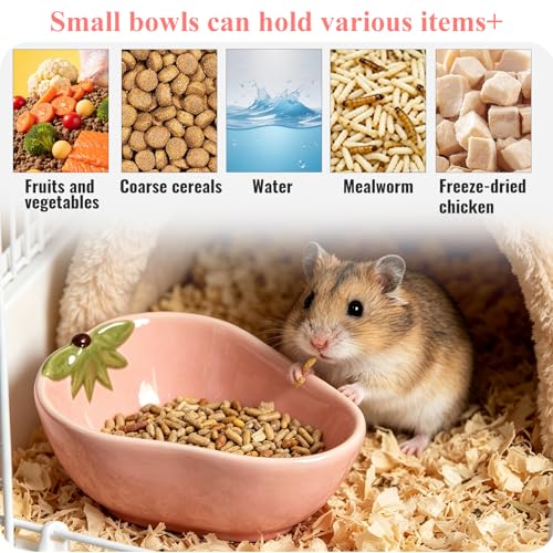 Small Guinea Pig Food Bowl Strawberry-Shaped Cute Ceramic Hamster Water Bowl Ferret Rat Chinchilla Rabbit Feeding Dish Young Animal Feeder(Pink) - color: Pink