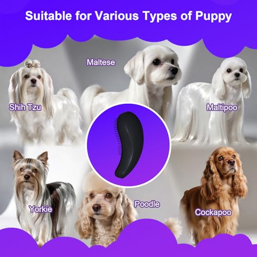 Small Dog Brush, Skin-friendly Soft Bristles (Black) | Puppy Hair Brush, Massage and Bath Supplies, Pet Grooming Tool for Teddy, Yorkies, Maltese, Shih Tzu, Chihuahua - color: Black