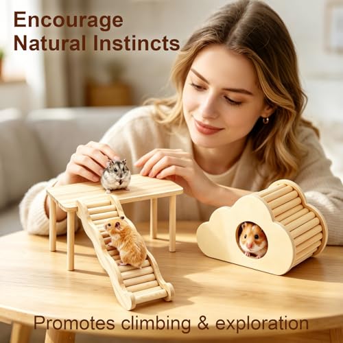 5 Pcs Wooden Hamster Toy Set, Cloud House, Peep Tunnel, Ladder & Small Tables Cage Accessories Climbing Toys for Dwarf Hamsters, Mice & Gerbils