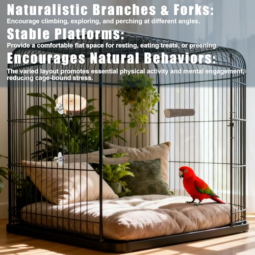 6 PCS Bird Perch Set | Natural Birch Wood, Straight & Forked Perches with Platforms, For Parakeets, Cockatiels, Conures, Lovebirds, Cage Accessories