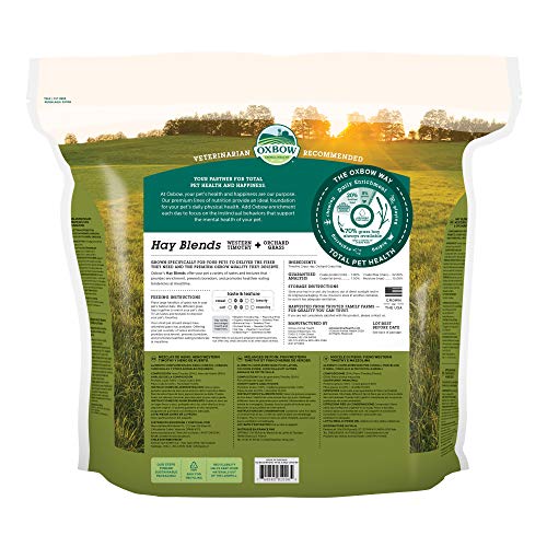 Oxbow Timothy Hay & Orchard Blend, Rabbit & Guinea Pig Hay, USA, 40 oz | Oxbow Timothy Hay, Bunny Hay For Rabbits, Guinea Pigs, Bunnies and Chinchillas, Hand-Sorted, De-Dusted, High Fiber - size: 40 Ounce (Pack of 1)