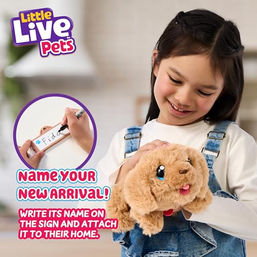 Little Live Pets My Puppy's Home Playset, Interactive Play Dog with Building Dog House Toys, Puppy Plush Toy with 25+ Sounds for Kids of Ages 5+ | 25+ sounds, surprise reveal puppy, customizable name-plate; interactive pet toy for kids ages 5+ - style: Pu