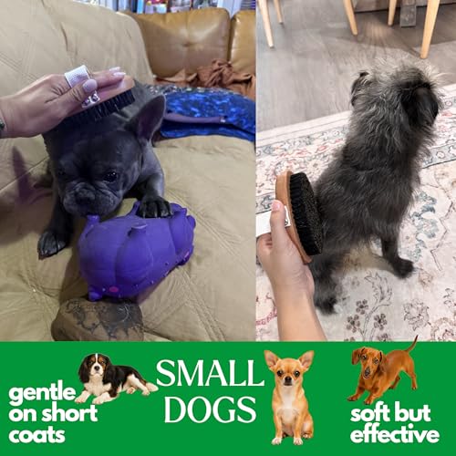 GranNaturals Soft Bristle Dog Brush for Short Haired Dogs & Cats w/Strap - Wooden Handle & Gentle Boar Bristles for Deshedding, Smoothing and Grooming Pet Hair Fur to Give Naturally Shiny Coat
