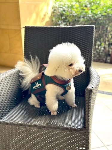 Wakytu Dog Lift Harness Dog Carrier Sling for Small Dogs & Cats,L | stylish puppy sling carrier with handle & pocket,adjustable leash,walking & travel - color: 1.0 Green, size: Large(11-16 LBS)