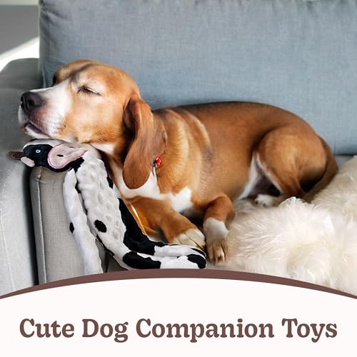 SHARLOVY No Stuffing Dog Toys 5 Pack, Crinkle Interactive Dogs Toy for Boredom, Puppy Toys for Teething to Keep Them Busy, Cute Squeaky Dogs Toy for Small, Medium, and Large Breed | Puppy Toys for Teething to Keep Them Busy, Cute Squeaky Dogs Toy for Smal