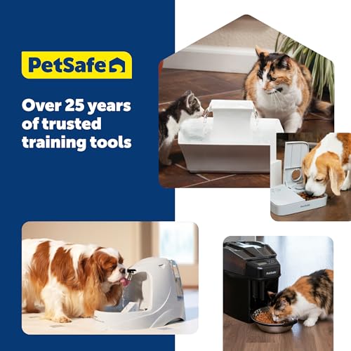 PetSafe Healthy Pet Water Station, 64 oz, Stainless Steel Bowl, Small | Gravity-Fed Pet Water Fountain Keeps Cats or Small Dogs Hydrated, Stainless Steel Bowl Is Dishwasher Safe - size: Small