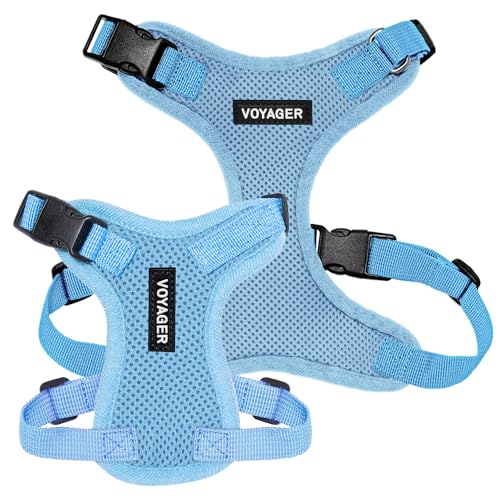 Voyager Step-in Lock Dog Harness - Baby Blue, X-Small | 13 - 16" in Chest, Adjustable, Breathable Air Mesh, Lightweight for Daily Walks, Strong Clips, Heavy Duty D-Ring - color: Harness (Baby Blue), size: XS (Chest: 13 - 16")