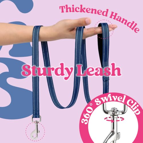 rabbitgoo Dog Harness Small Sized and Leash Set, Step in Soft Vest | Breathable Mesh, Easy Wear with Hook & Loop, Light and Reflective for Walking, Multi-colored, Rose Red & Navy Blue, XXS - color: Rose Red & Navy Blue, size: XXS (Chest: 12.4"-14.2")
