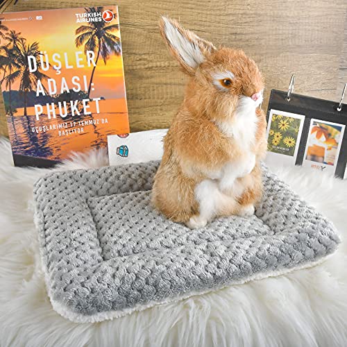 Small Animal Bed Mat, Soft & Warm, Suitable for Guinea Pig, Hamster, Rabbit, Rat and Bearded Dragon (X-Large(13.3''x9.4''), Mesh Grey) - color: Mesh Grey, size: X-Large(13.3''x9.4'')