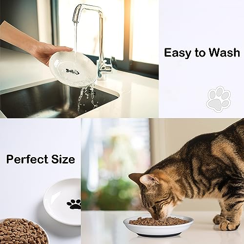 WROSWT Cat Food Bowl,Healthy Ceramic Cat Bowls for Indoor Cats,Anti Whisker Fatigue Cats Dishes Set,Shallow Wide Kitten Plates for Food and Water,Non-Slip Silicone Bottom,6 Pack - size: Shallower-6 Pack