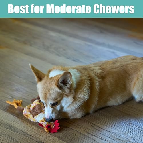 SPOT Skinneeez Chicken 13 Inch Stuffing-Free Plush Squeaky Dog Toy – Soft Interactive Chew Toy for Small and Medium Dogs – Mess-Free Play for Light & Moderate Chewers - style: Mini Chicken