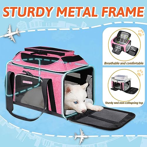 Top-Expandable Small Pet Carrier 17"x12"x8.5" Airline Approved | for JetBlue/Frontier/Spirit Airlines, Lockable Safety Zippers and Anti-Scratch Mesh, Soft-Sided, Pets Under 8 Lbs, Pink - color: Pink, size: 17.0"L x 12.0"W x 8.5"H