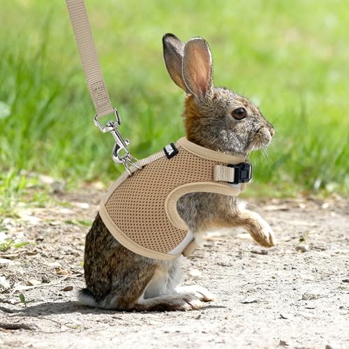 Adjustable Rabbit Harness and Leash Set Escape Proof, Beige M | Padded Vest with Magic Tape Design, Indoor/Outdoor Use (Training, Hiking) - Fits Hamsters, Rats, Iguanas, Puppies, Cats - color: Khaki, size: M