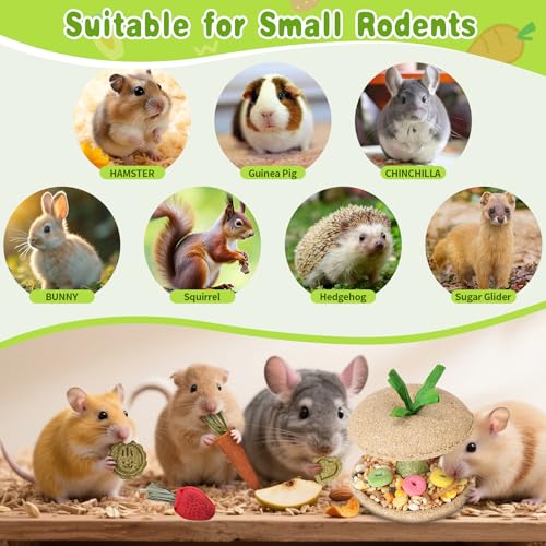 10 PCS Hamster Chew Toys, Guinea Pig Chew Toys for Teeth Natural Timothy Chinchilla Treats Apple Core, Grass Cake, Carrot and Strawberry for Gerbil, Rat, Rabbit and Small Animal Dental Care