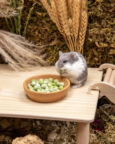 Niteangel Hamster Snack & Treats Toy - Freeze-Dried Pea & No Additive | Delivers Essential Vitamins & Minerals- Small Animal Natural Treat for Dwarf Syrian Hamsters Gerbils Mice Degus or Small Pets