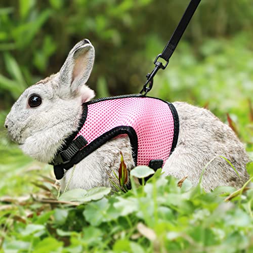 PETTOM Bunny Rabbit Harness with Stretchy Leash Cute Adjustable Buckle Breathable Mesh Vest for Kitten Small Pets Walking (Pink,XL) - color: Pink, size: XL(Chest:12.5-15.7 in)