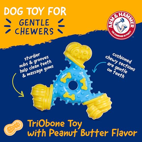 Arm & Hammer Nubbies TriBone Dental Dog Chew Toy, Peanut Butter, 24-Pk | Nylon and TPR construction, baking soda infused, reduces plaque and tartar buildup, ideal for moderate chewers - color: Blue & Yellow TriOBone, size: 24 Count