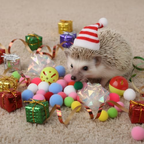 Hedgehog Dig Box Tray, Fun Foraging & Digging Hedgehogs Toy, Includes Rich Colors Balls, Hedgehogs Accessories for Hamsters, Ferrets and Other Small Animals (White)