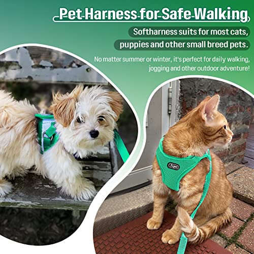 Supet Cat Harness and Leash Set - Soft Mesh Adjustable Cat Vest Harness with Reflective Strap for Walking Cat and Puppy Rabbit - color: Turquoise, size: S (Chest: 9.5" - 13.0")