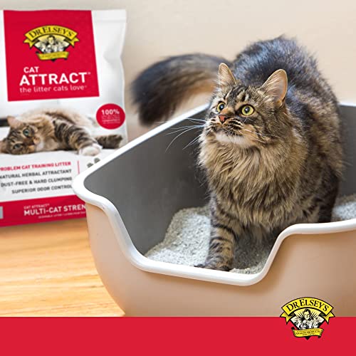 Dr. Elsey's® Cat Attract® Clumping Clay Cat Litter 18-lb. Bag - size: 18 lb