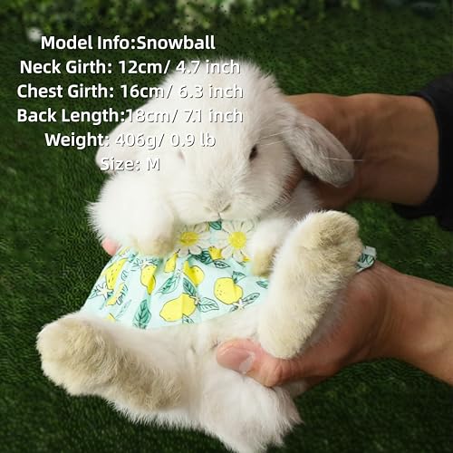 SMOLKITH Rabbit Clothes - Bunny Adjustable Summer Lemon Print Dress with Leash, Small Animal Apparel for Walking - Fits Meerkats, Chinchillas, Guinea Pigs, Marmots and More - color: Summer Lemon Print Dress