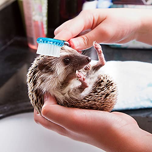 Mudder 3 Pcs Hedgehog Small Animal Grooming Kit Including 2 Bathing Brush and a Nail Toenail Clipper with Magnifier for Pet Hamster Hedgehog Guinea Pig Rabbit Cat Kitten