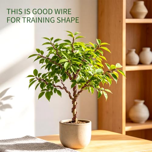 Mudder 5 Roll Aluminum Bonsai Training Wire Tree 1/1.5/2.0/4/6mm 85 Feet Total with Bonsai Wire Cutter Anodized Training for Holding Branches Small Trunks(Brown) - color: Brown, size: 1/1.5/2/4/6mm