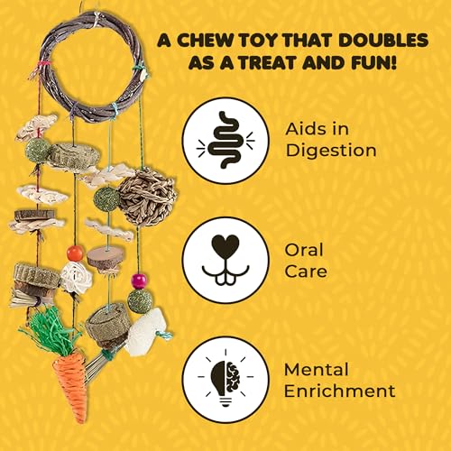 SunGrow Cage Hanging Rabbit Chew Toy, Handwoven Space-Saving Enclosure Accessory, Wooden Discs, Loofah Slices, Grass Ball & Compressed Hay, for Bunnies, Guinea Pigs, and Chinchillas, 17” x 7”, 1 Set