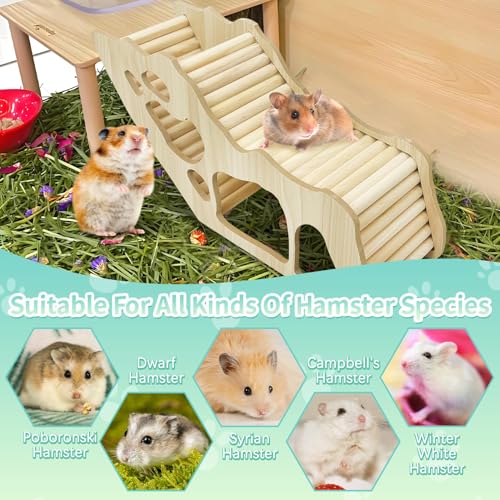 PINVNBY Hamster Climbing Ladder and Tunnel Hideout Wooden Hamster Climbing Toy Cage Decor Accessories for Gerbil Mice or Other Small Animals (Maze Tunnel)