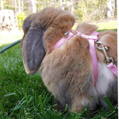 Hypeety Rabbit Harness with Leash Adjustable Nylon Vest for Small Animals | Adjustable 7.9-11.9'' chest, 7.1-10.3'' neck, escape-proof snap buckles, with bell lead for bunnies/guinea pigs/ferrets, pink - color: Pink