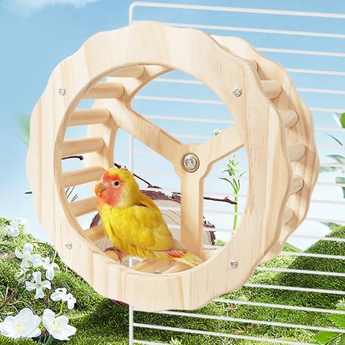 Bird Stand Perch Toy,Interactive Rocking Parakeet Toy and Perch, Wooden Exercise Wheel Cockatiel Toy, Intelligence Puzzle Enrichment Toys,Bird Playground Play Stands for Conure Budgie(D) - color: E