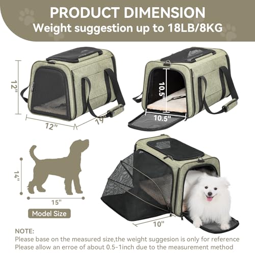 Petsfit Large Expandable Cat Carrier for Travel, Up to 18 lb | 19 x 12 x 12 in; roomy expandable space with a reinforced frame, locking zippers, interior safety tether and large pocket. - color: Green, size: 19"L x 12"W x 12"H
