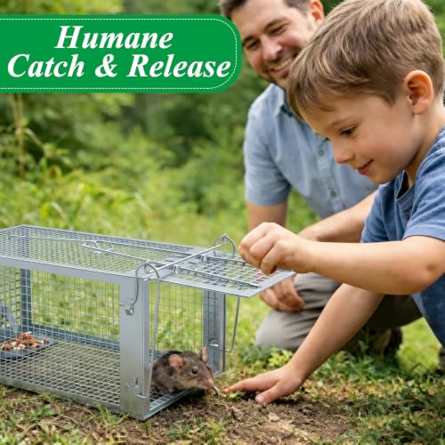 2 Packs Humane Rat Mouse Trap Outdoor Live Animal Cage Indoor & Outdoor | Silver Iron Galvanization, Reusable Safe for Children & Pet, Waterproof