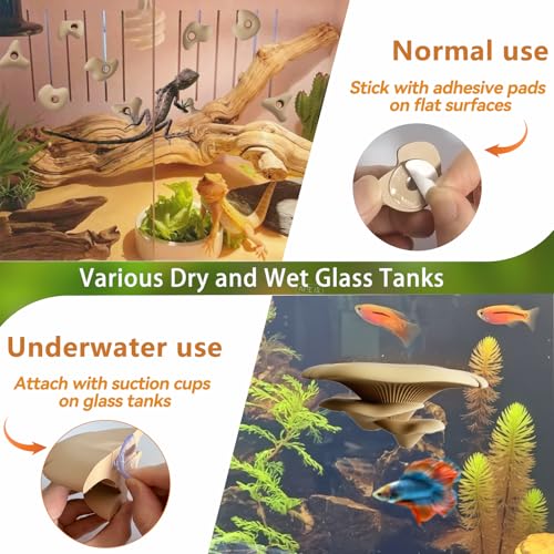 Mushroom Terrarium Decor & Climbing Hold Kit,with 12 Rock Holds, Suction Cups & Adhesive Dots for Geckos, Frogs, Small Lizards & Snakes in Dry/Semi-Moist Habitats (Lavender Silver) - color: Lavender Silver
