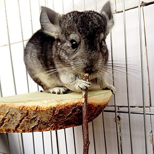 500g Apple Sticks Small Animals Molar Wood Toys for Rabbits Chinchillas Guinea Pig Hamster Gerbil Bunny and Small Animal Chew Stick Toys