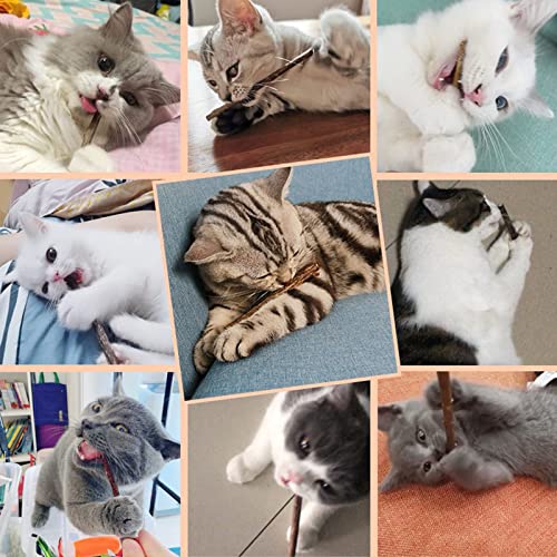 WoLover 20 PCS Matatabi Sticks, Silvervine Chew Toys for Cats | Natural Catnip Sticks, Cleaning Teeth Molar Chew Toy for Cat Kitten Kitty Dental Care - size: 20 PCS