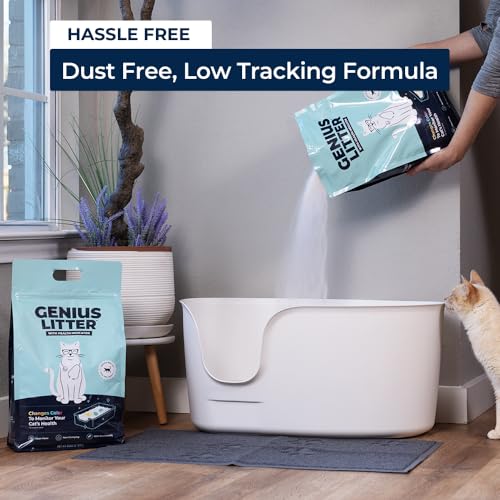 Genius Litter Health Monitoring Cat Litter, Featured on Shark Tank, Lightweight Crystal Silica Gel, Non Clumping, Dust Free, Low Tracking, Odor Control for Indoor Cats and Kittens, 6 lb Bag - size: 1 Bag (6lb)