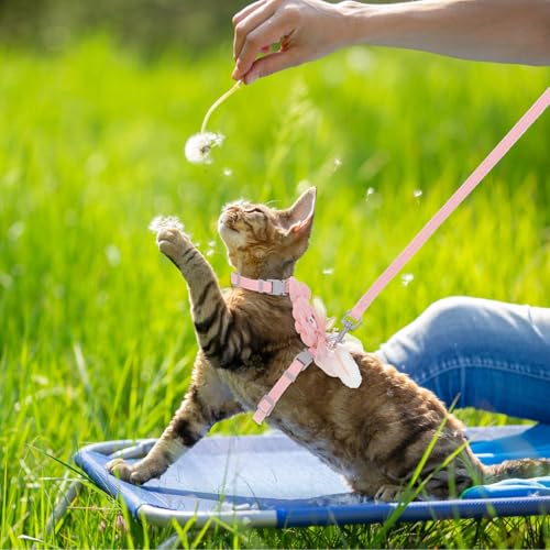 TIESOME Cat Harness and Leash Set, Adjustable Gradient Kitten Harness | Escape Proof Harness with Leash for Kitty Outdoor Walking - color: Ribbon Bear Pink