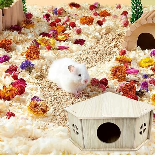 Amonk Triangle Hamster Hideout Wooden Syrian Hamster Toys 8x8x4in Small Animals Houses Exploring Toys with Hole & Windows for Young Gerbil, or Baby Mouse and Other Small Pets