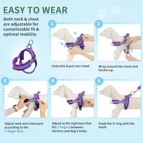 SlowTon No Pull Small Dog Harness and Leash Set with Front Clip | Soft Padded, Neck & Chest Adjustable, Lightweight, Anti-Twist, Puppy Vest Harness Pet Lead Combo for Small Medium Dog, PU S - color: Purple, size: Small