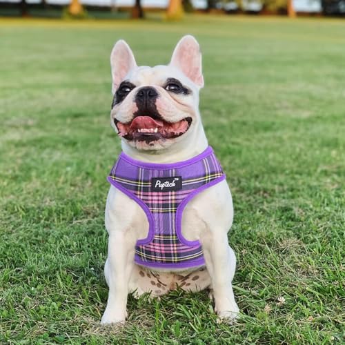 PUPTECK Soft Mesh Dog Harness and Leash Set Pet Puppy Cat Comfort Padded Vest No Pull Harnesses, Purple, S - color: Purple, size: S (NECK: 12", CHEST: 14"-18")