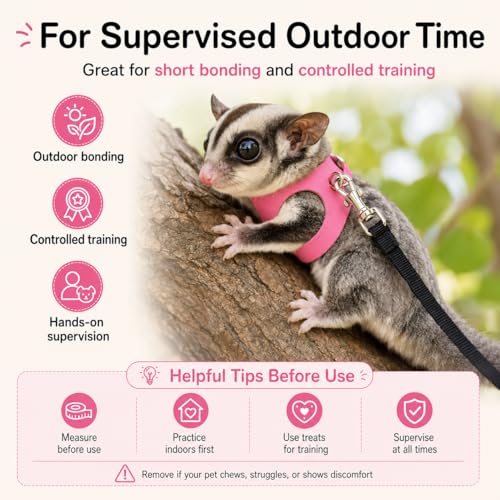 3 Pack Sugar Glider Harness and Leash Set Small Animal Training Walking Vest for Squirrel Hamster Rat Pink - color: Pink