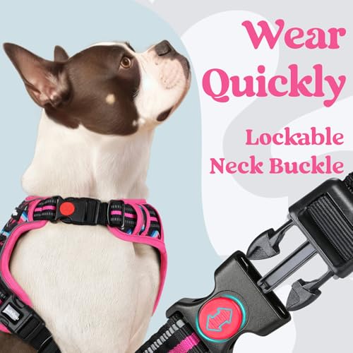 rabbitgoo Dog Harness Small Sized, Updated Easy On & Off with 3 Buckles | No Pull No Choke, Walking with 2 Clips and Handle, Adjustable Soft Reflective, Mountain Rose, Small - color: Mountain Rose, size: Small