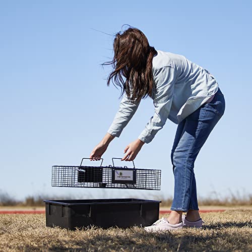 Rugged Ranch Ratinator Large Dual Door Live Rat & Mouse Trap Cage, 4-Pack | Humane Multi-Catch Rodent Control for Indoor or Outdoor Use, Reusable Catch and Release Wire Metal Cage for Rats and Mice - color: Rat, size: 4 Pack